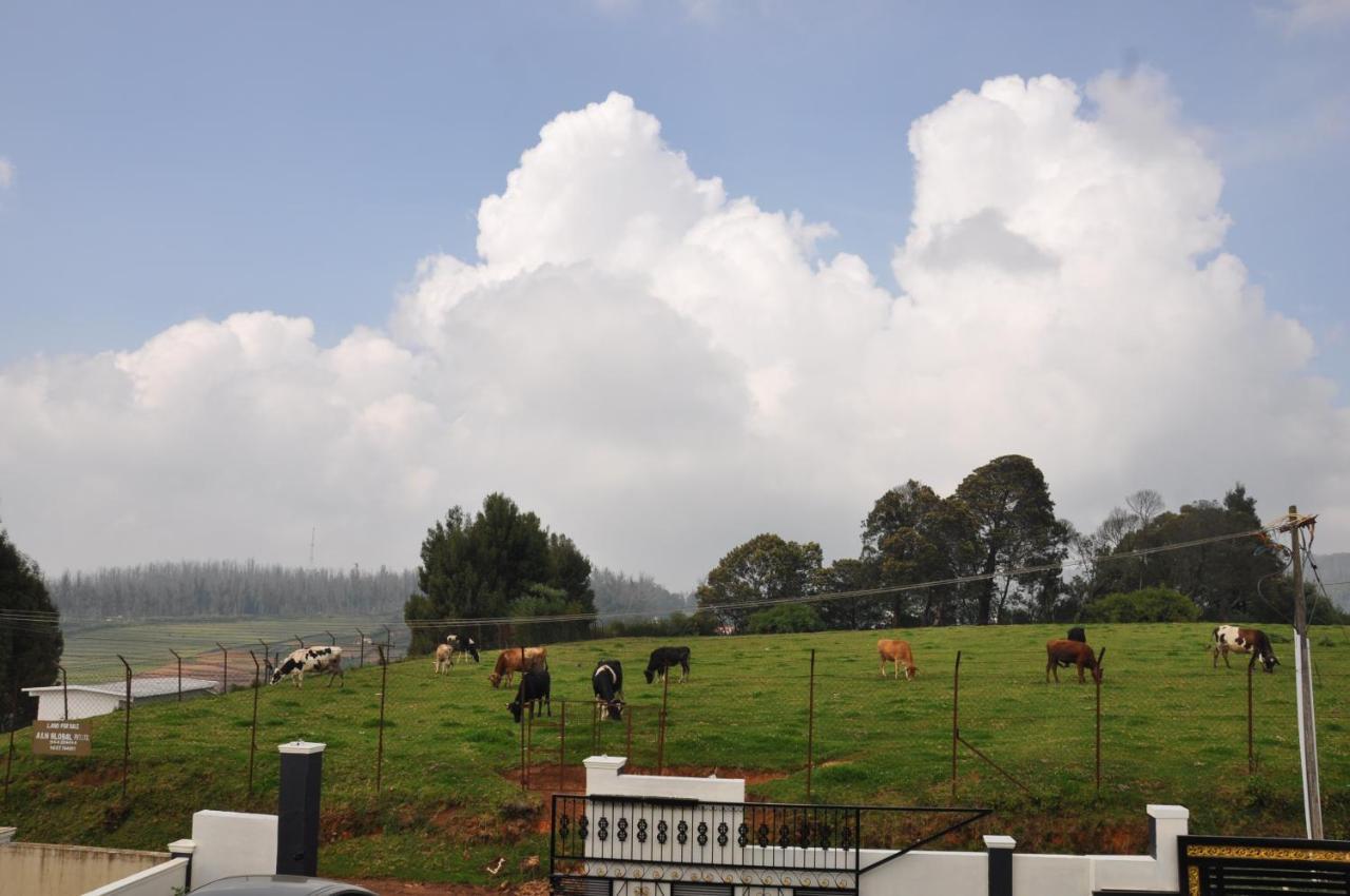 Teyt Castle Villa Ooty Buitenkant foto